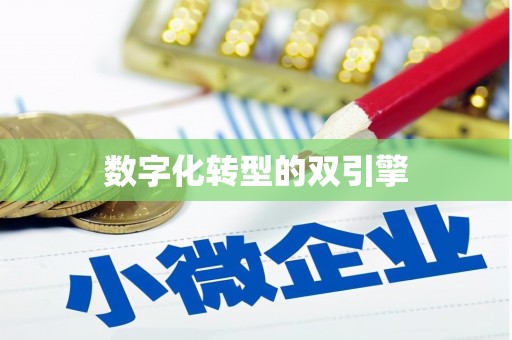 镇巴数字化转型的双引擎