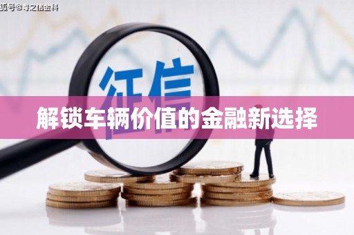 镇巴解锁车辆价值的金融新选择