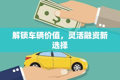 镇巴解锁车辆价值，灵活融资新选择