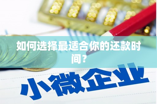 镇巴如何选择最适合你的还款时间？
