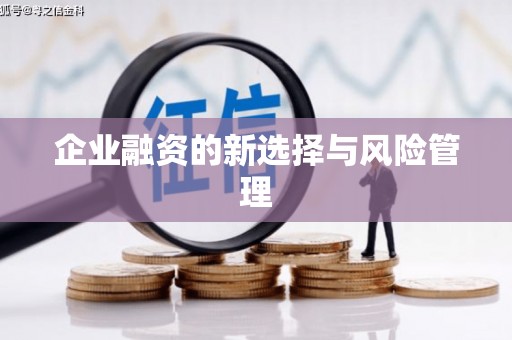 镇巴企业融资的新选择与风险管理