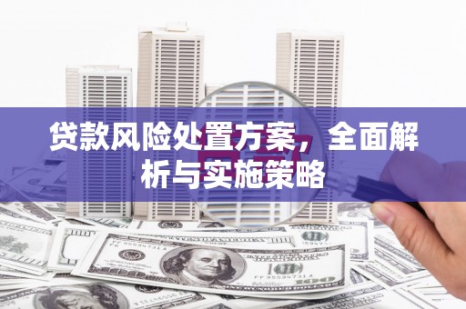 镇巴贷款风险处置方案，全面解析与实施策略