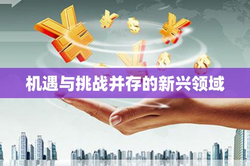 镇巴机遇与挑战并存的新兴领域