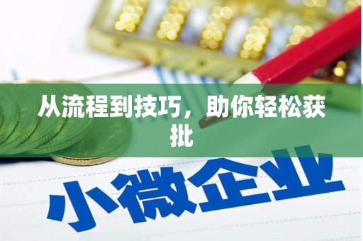 镇巴从流程到技巧，助你轻松获批