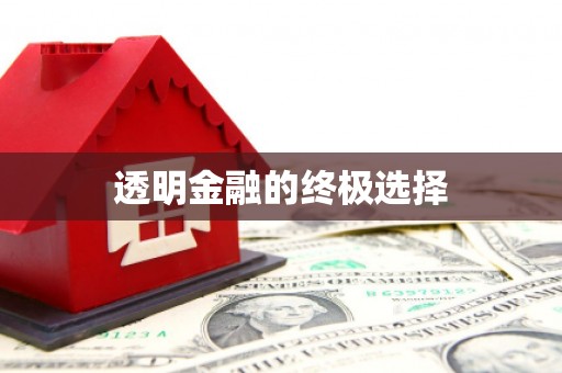 镇巴透明金融的终极选择