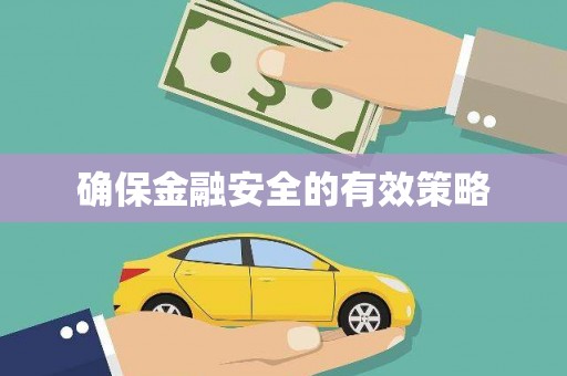 镇巴确保金融安全的有效策略