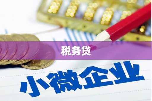 镇巴税务贷