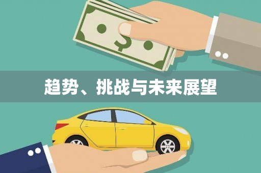 镇巴趋势、挑战与未来展望