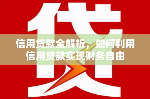 镇巴信用贷款全解析，如何利用信用贷款实现财务自由