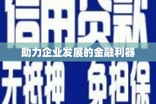 镇巴助力企业发展的金融利器