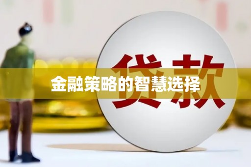 镇巴金融策略的智慧选择