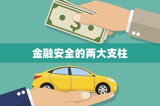 镇巴金融安全的两大支柱