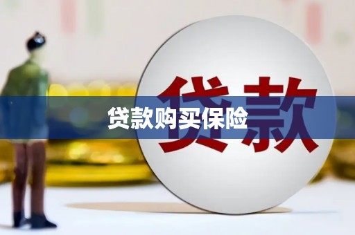 镇巴贷款购买保险