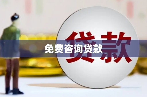 镇巴免费咨询贷款