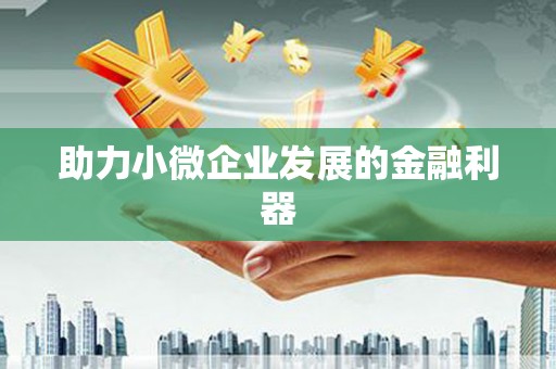 镇巴助力小微企业发展的金融利器