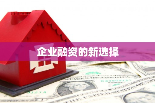 镇巴企业融资的新选择