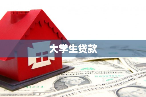 镇巴大学生贷款