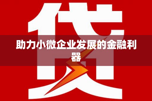 镇巴助力小微企业发展的金融利器
