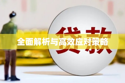 镇巴全面解析与高效应对策略