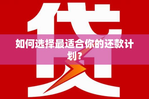 镇巴如何选择最适合你的还款计划？