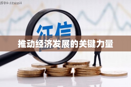 镇巴推动经济发展的关键力量