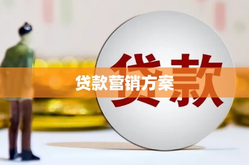 镇巴贷款营销方案