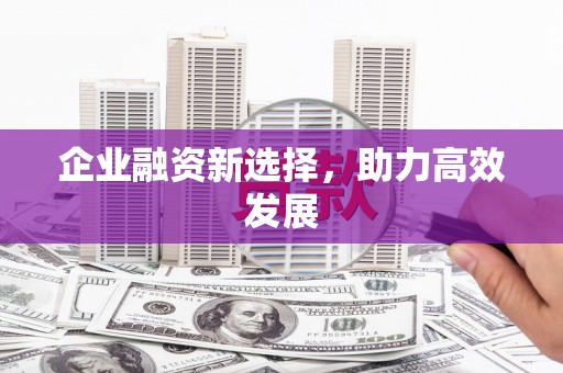 镇巴企业融资新选择，助力高效发展