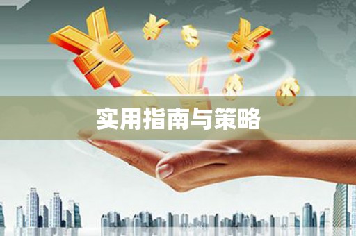 镇巴实用指南与策略