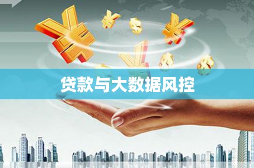 镇巴贷款与大数据风控
