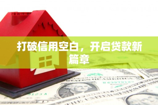 镇巴打破信用空白，开启贷款新篇章