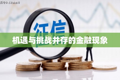 镇巴机遇与挑战并存的金融现象