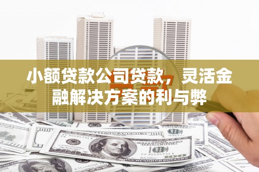 镇巴小额贷款公司贷款，灵活金融解决方案的利与弊