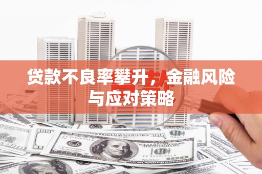 镇巴贷款不良率攀升，金融风险与应对策略