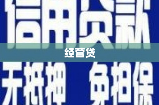 镇巴经营贷