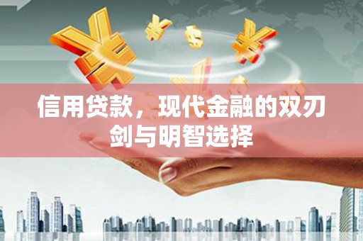 镇巴信用贷款，现代金融的双刃剑与明智选择