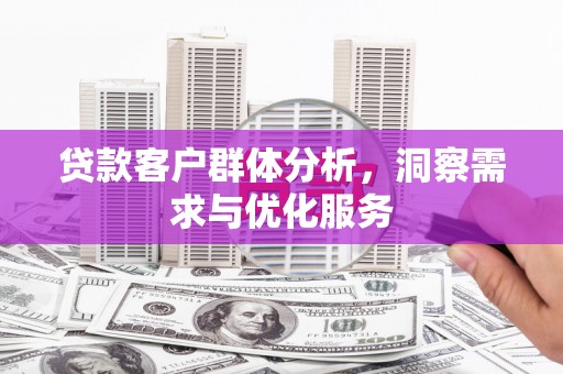 镇巴贷款客户群体分析，洞察需求与优化服务