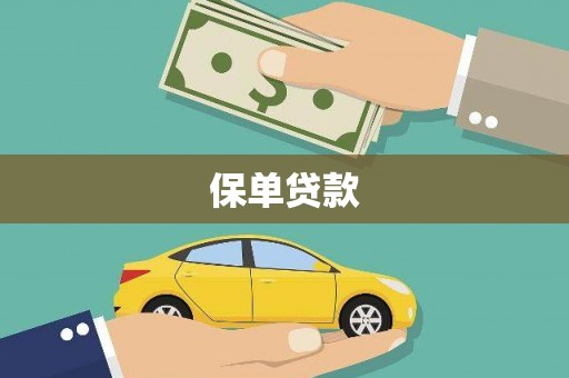 镇巴保单贷款